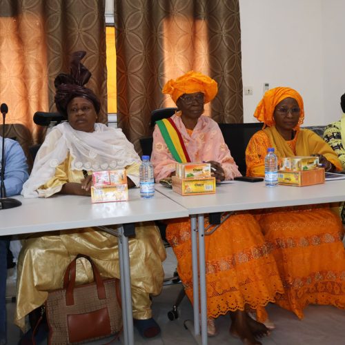 Hommage à Mme Djiré Mariam Diallo par la Coordination des Organisations Féminines du Mali (CAFO)